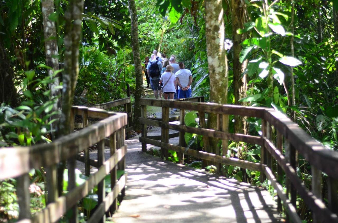 Veragua Rainforest 利蒙港 外观 照片
